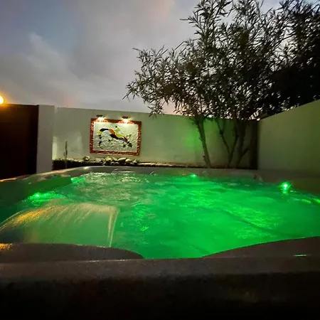 Gecko House